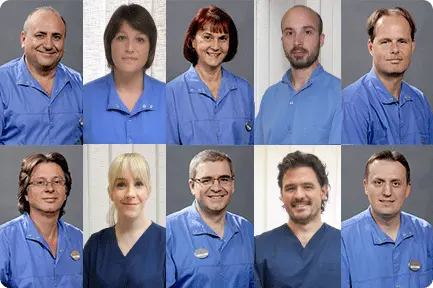 professional dentist specialists